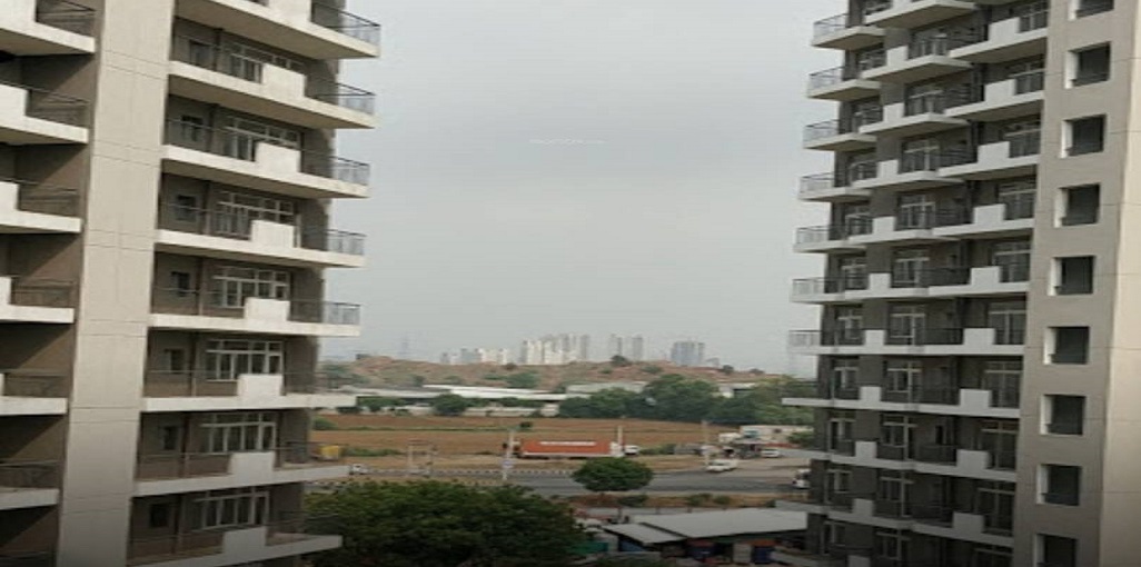 Corona Gracieux — Tower View