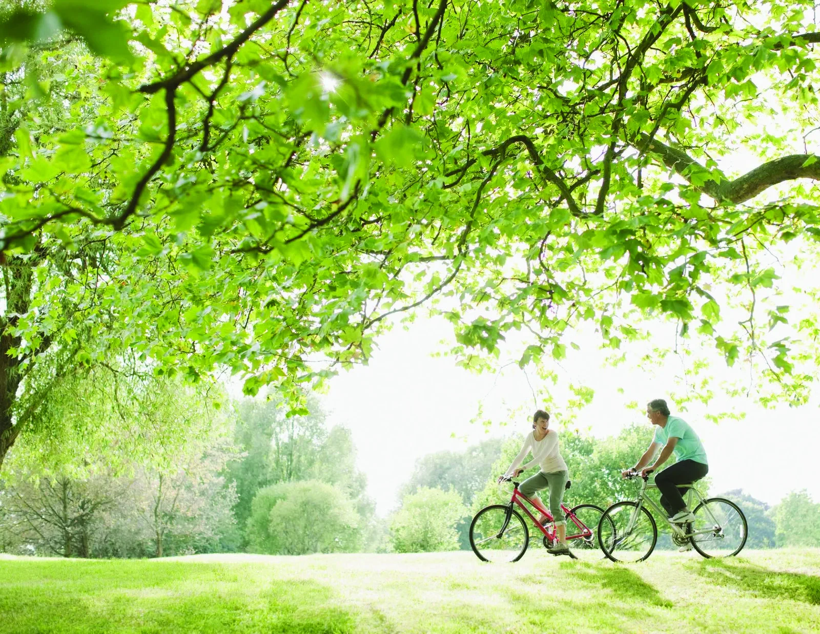 Landscaped Gardens amenity — representative image