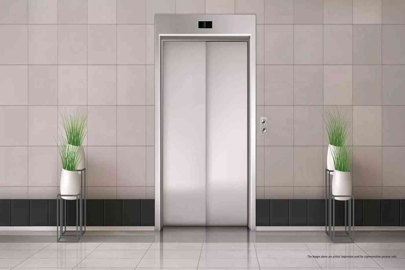 M2K Olive Green Floors — Clubhouse