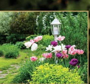 Landscaped Gardens & Walking Paths amenity — representative image