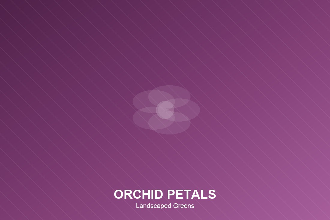 Orchid Petals — Landscaped Greens