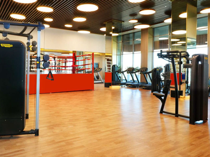 Puri Diplomatic Residences — Gymnasium