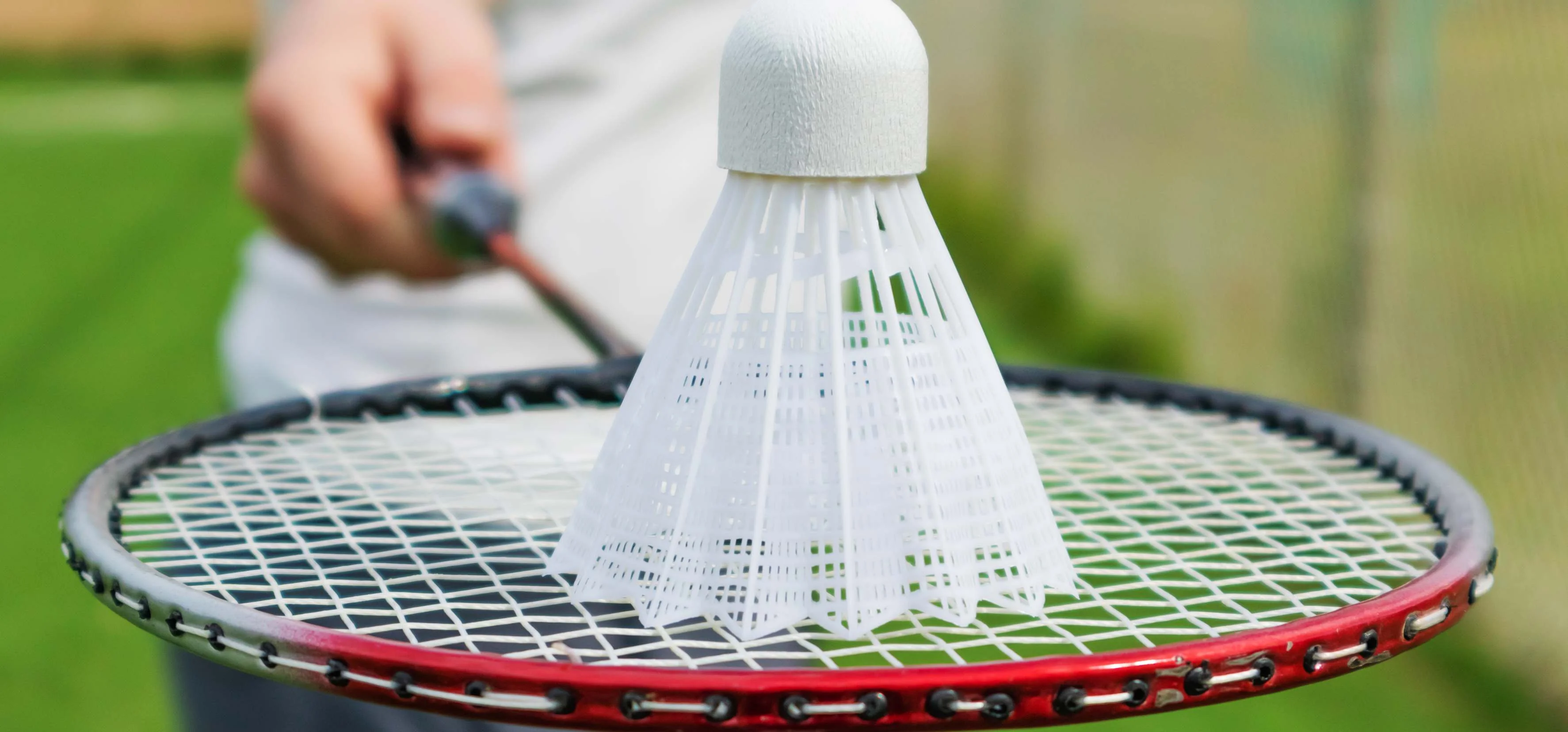 Badminton Court amenity — representative image