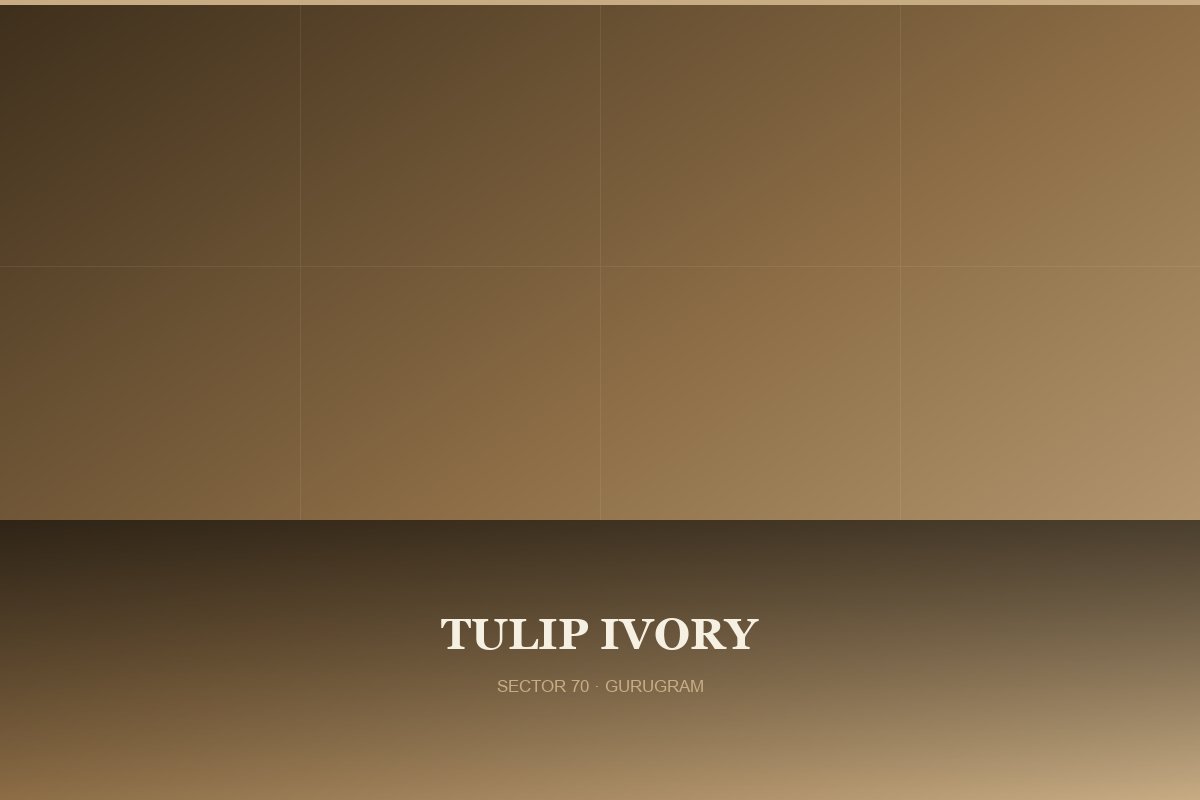 Tulip Ivory — Street View