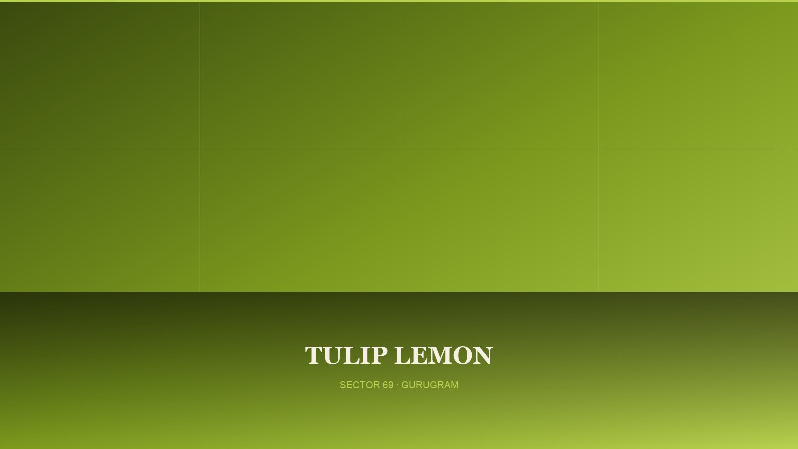 Tulip Lemon — Tower View