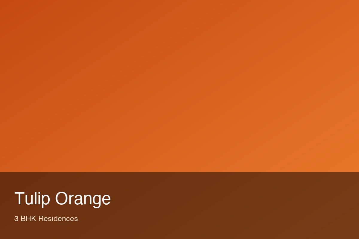 Tulip Orange — 3 BHK
