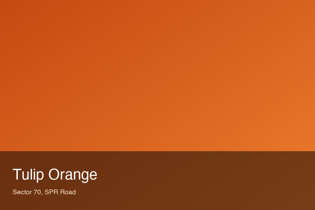 Tulip Orange — Sector 70, SPR Road