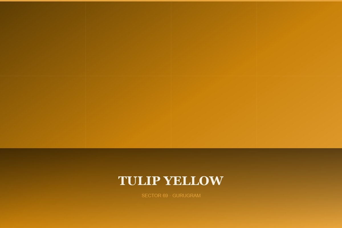 Tulip Yellow — Street View