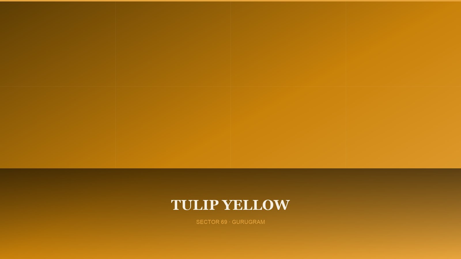 Tulip Yellow — Tower View