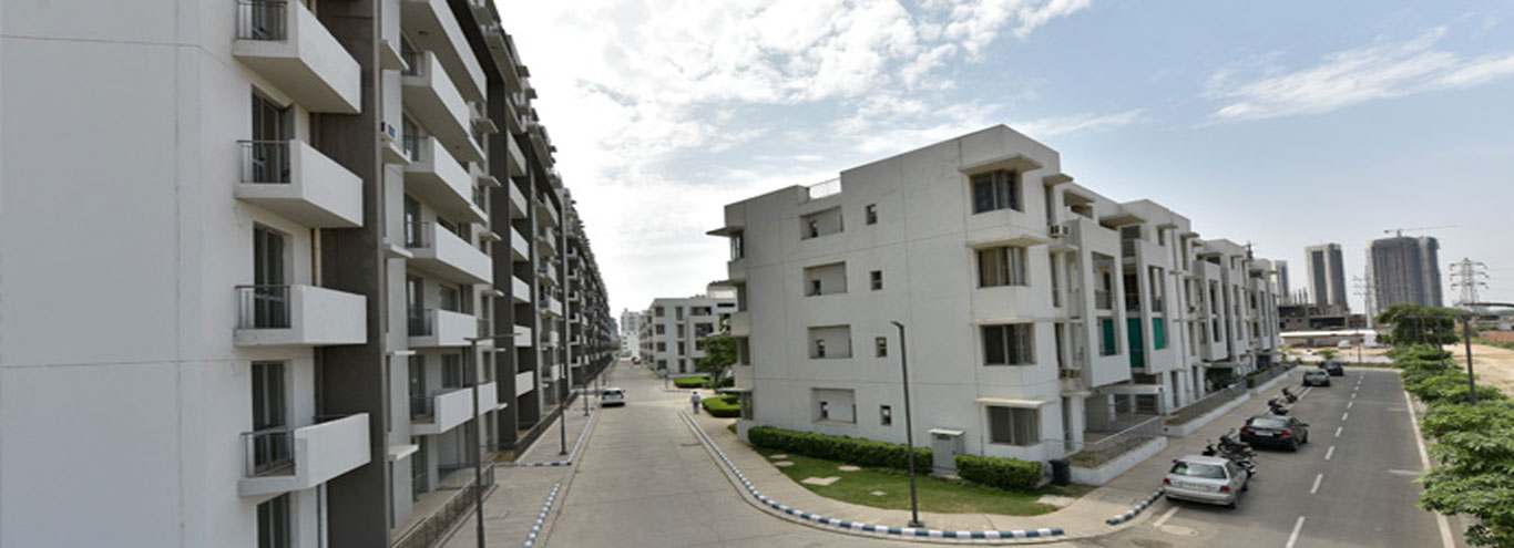 Vatika City Homes — Tower Cluster