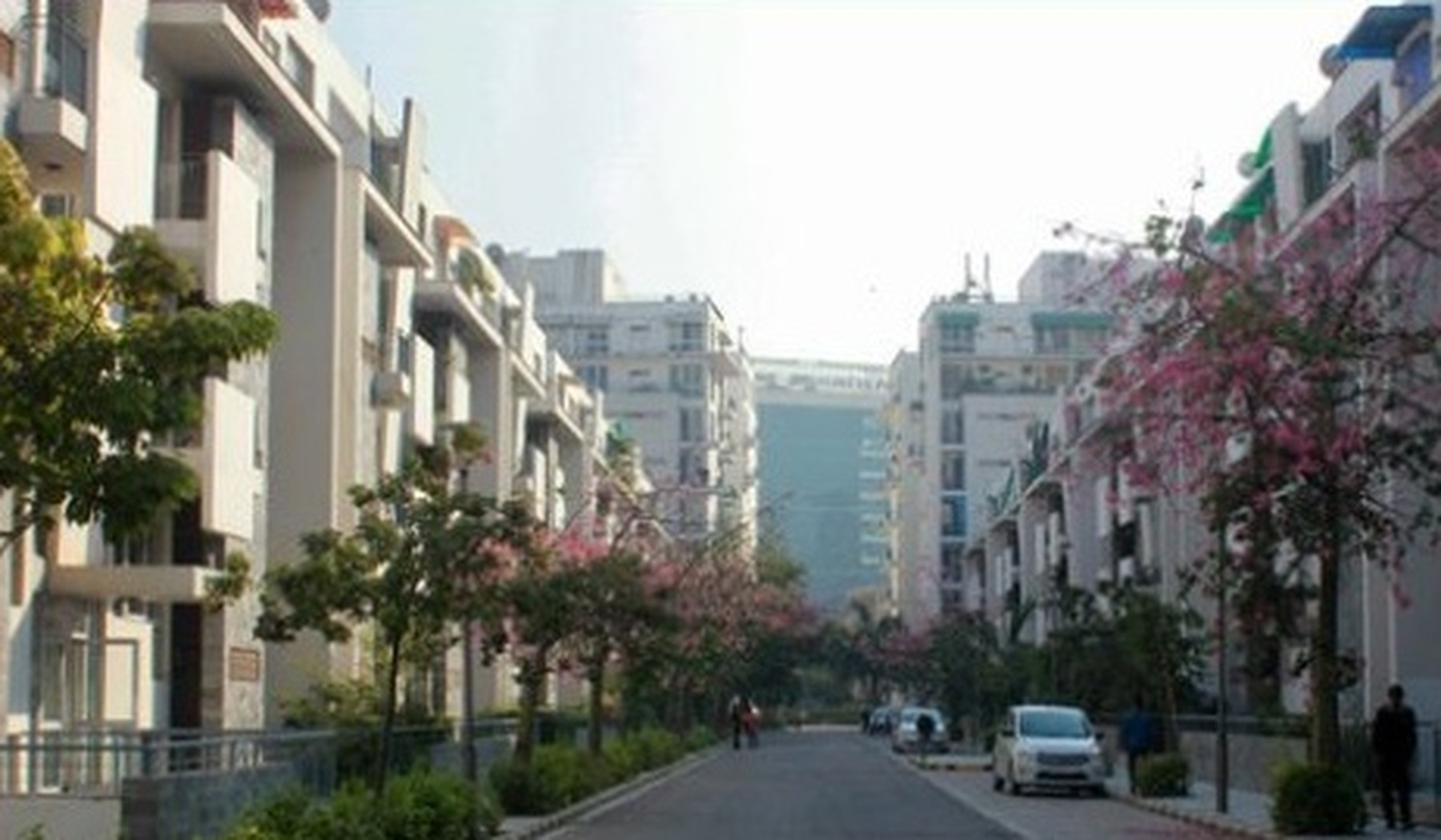 Vatika City — Internal Avenue